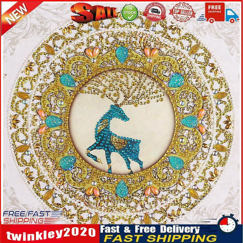 5D DIY Special Shaped Diamond Painting Mandala Cross Stitch Kits (DZ238) Newly