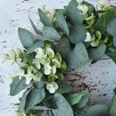 Imitation grass ring door trim small eucalyptus wreath D4H4