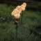 LED Solar Lights Owl Lawn Stakes Lamp Yard Art Home Garden Decor (Brown) Newly