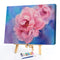 Pink Peony Oil Paint By Numbers DIY Handpainted on Canvas Wall Art Gift Unf