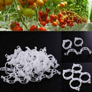 Tomato Veggie Garden Plant Support Clips For Trellis Twine S4F4 hot.