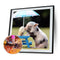 5D DIY Full Drill Diamond Painting Pig Cross Stitch Embroidery Kit (1) Newly