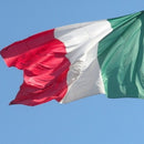 Italian National Flag Plastic Flagpole Hand Waving Polyester Flag Banner