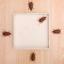 Dog-Cat Interactive Electronic Cockroach Intelligence Activity Pet Toys I8P8