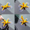 DIY Practical Tools Crack Chip Windshield Window Screen Windscreen Repair Kit