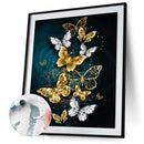 Color Butterfly DIY Canvas Paint By Numbers Oil Hand Painted Kit (YHRM-194)