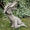 Gothic Dragon Statues Fantasy Animal Dragon Figures Garden Decor (2pcs)