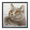 Partial Embroidery Stamped Cat DIY Cross Stitch Kits 11CT Needlework Sets Gift