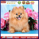 5D Diamond Painting Kit DIY Animal Full Round Drill Mosaic Picture Wall Decor