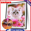 Cat 5D Diamond DIY Kit (Home) Painting Decor Crafts Wall Hanging Rhinestone Diamond