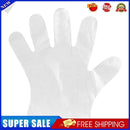 100pcs/bag Disposable Gloves One-off Plastic Gloves BBQ Transparent Gloves