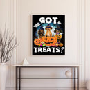 Halloween Pumpkin Dachshund Dog Oil Paint By Numbers Kit 40x50cm (B1601)