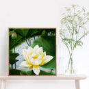 White Lotus Diamond Embroidery Painting Mosaic Picture Rhinestone Cross Stitch
