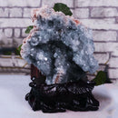 Madagascar Celestite Crystal druzy cluster sky Blue Mineral 100G Geode app O0Q5