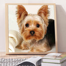 5D DIYDog Full Square Drill Mosaic Diamond Painting Animal Picture Rhinestone