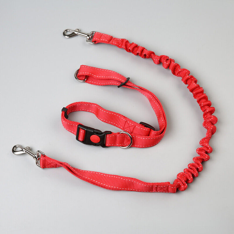 Pet Dog Traction Rope Slip Lead Training Elastic Collar Belt  Adjustable Co