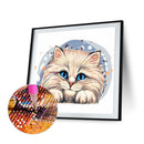 Persian Cat Animal Series Diamond Painting Kits Full Round Drill 30x30cm (A22
