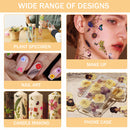 Dried Flower Material Package Real Pressed Dry Flowers & Leaves (Colour) Newly