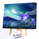 Night Landscape 50x40cm Oil Paint By Numbers Picture DIY
