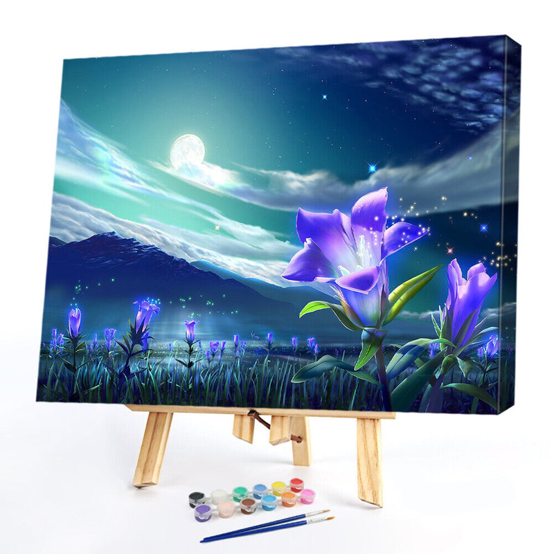 Night Landscape 50x40cm Oil Paint By Numbers Picture DIY