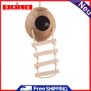 Parakeet Coconut Shell Bird Nest Squirrel Feeder Warm House with Hanging Ladder