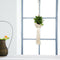 Macrame Plant Hanger Baskets Flower Pots Holder Balcony Home Decor (002) Newly