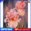 #A Iris Oil Paint By Numbers Kits DIY Canvas Wall Art Picture Craft Home Decor