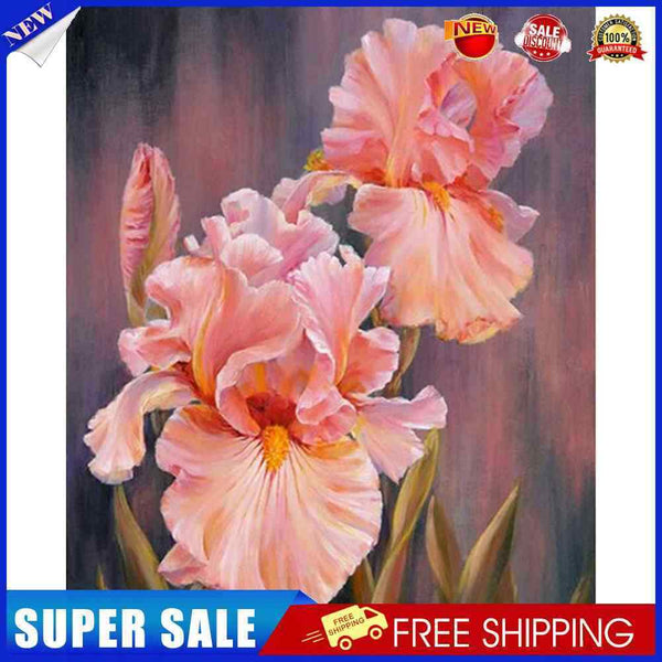 #A Iris Oil Paint By Numbers Kits DIY Canvas Wall Art Picture Craft Home Decor