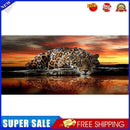 Sunset Leopard Oil Paint By Numbers Kits Canvas Picture DIY Wall Art Crafts