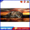 Sunset Leopard Oil Paint By Numbers Kits Canvas Picture DIY Wall Art Crafts