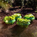 Plants Snail Protection Rings Garden Vegetable Pest Control Trapper (6pcs)