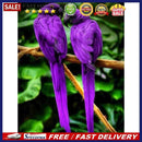Diamond Painting Kit DIY Animal Full Square Diamond Mosaic Art