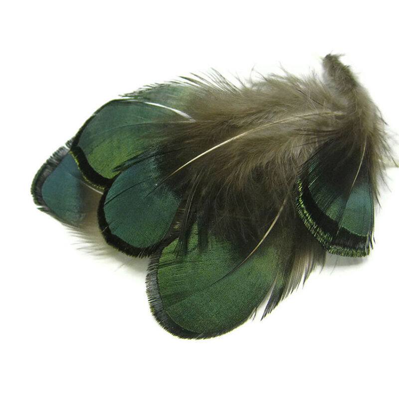 Amherst Golden Pheasant Feathers Lady Amherst Pheasant Feather Artificial Sale