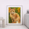 Frameless Orange Cats Oil Paint By Numbers Kit DIY Handmade Drawing On Canv