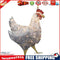 2pcs - LED Chicken Family Signs Xmas Tree Hanging Pendant (03)