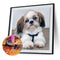 5D DIY Full Drill Diamond Painting Sad Puppy Cross Stitch Embroidery Rhinestones