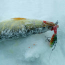 Ice Lure Fishing Vibration Baits Winter Sinking Crankbait Fishing Accessories