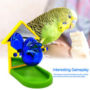 Leakage Food Parrot Mirror Foraging Props Development Intelligence Random C