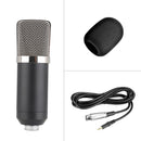 BM-700 Desk-mounted Studio Broadcasting Record Condenser Microphone (Black)