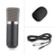 BM-700 Desk-mounted Studio Broadcasting Record Condenser Microphone (Black)