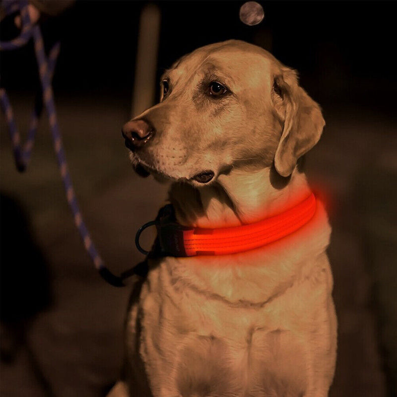 Luminous Anti Lost Glow Harness Dog Necklace Night Leash Collar (Red M) Newly