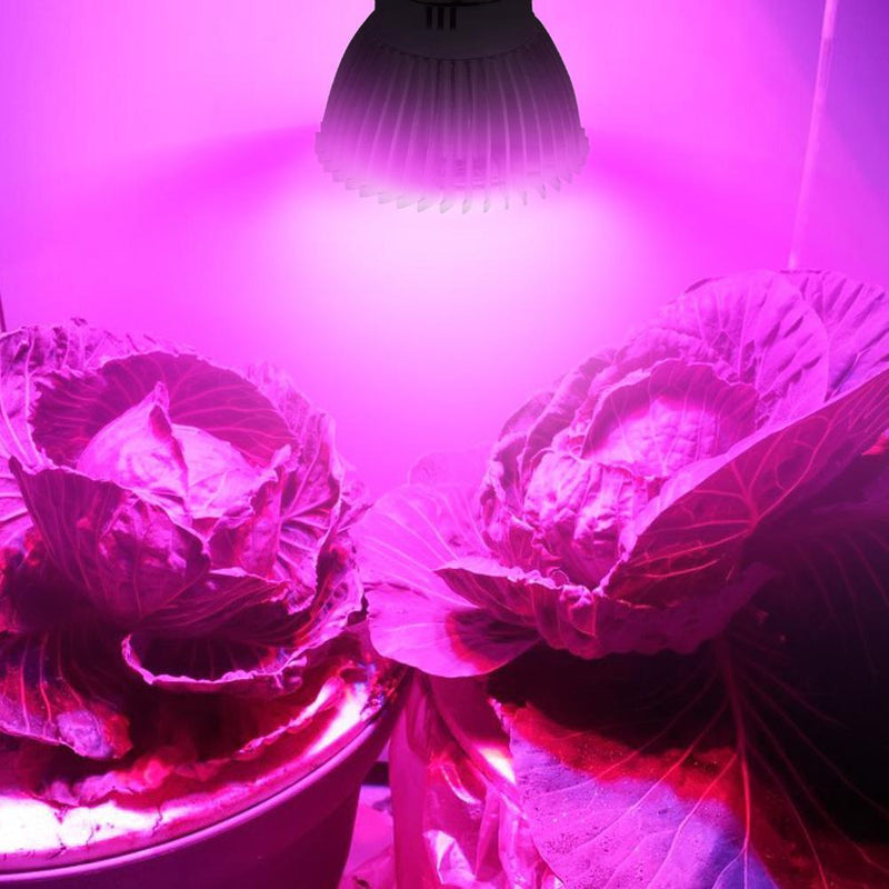 Full Spectrum 28W E14 LED Grow Light AC85-265V LED Growing Lamp Plant Light