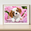 Hand Painted Artwork Animal DIY Painting By Numbers Kit Frameless Hanger Decor
