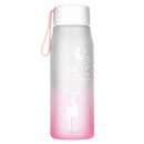 500ml Sports Water Bottle Gradient Frosted Portable Drinking Cup (Pink) Newly