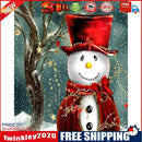 Oil Paint By Numbers Picture DIY Painting Snowman Nature Painting Kit Art