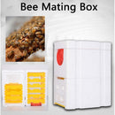 King Box Garden Supplies Foam Feeder Mating Equipment Bee Mating Box Beehive