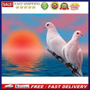 Diamond Painting 5D Full Round Drill Mosaic DIY Pigeon Kit Wall Decoration Cr