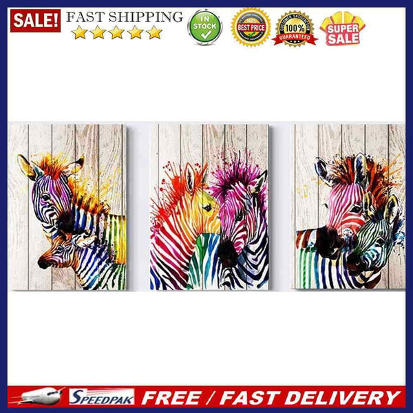 3 Panels Color Zebra Oil Paint By Number DIY Animal Picture Home Decoration G