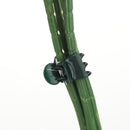 Graft Gardening Tool Plant Clips Orchid Stem Clip Vine Support Bundle