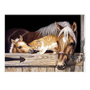 5D Horse Diamond Embroidery Painting Rhinestone Cross Stitch Home Decor